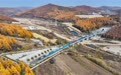 中欧班列“东通道”年内通行量突破6000列(6)#