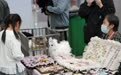 鞍山宠博会：宠物经济带动城市多元发展(7)