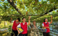 学在深处 思在实处 行在一线
