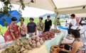 欢庆中国农民丰收节(9)