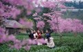 花开万里 共赴春光(12)#