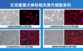 大动物原代细胞的王国：云克隆如何撬动全球宠物健康科研新版图