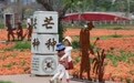 福建漳州：岸线焕新 城市更新(9)