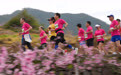 2026奉化马拉松开跑(3)