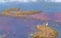 美丽中国｜水镜映秋色 芦荡藏鸟音(9)#