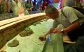 海洋生物多样性之美激发文旅活力(4)