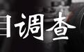 极目调查丨破解“车大位小”，市民呼吁修订车位标准，专家建议政企协同｜“车大位小”停车难调查（下）