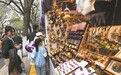 昆明“花海文旅”绽放独特魅力 