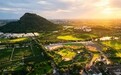 一颗桃子的进化：解码乡村振兴的“阳山模式”
