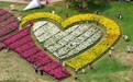 假日文旅消费热(21)#