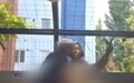 亵渎慰安妇铜像引众怒，美国网红索马里在韩国被判刑6个月