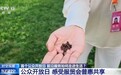 视频丨让 “看不见的服务” 被看见 服贸会公众开放日火热开幕