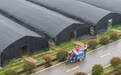 湖南望城：闲置校舍蝶变“蘑菇工厂”(3)