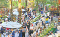 张开双臂迎接世界来客——中秋节“引客入滇”一线观察