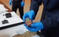 美国向中方返还64件(套)文物艺术品和古生物化石(6)