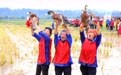 喜迎国庆(6)#