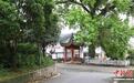 广西瑶乡“守药人”把中草药种成村民的“幸福草”