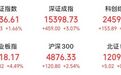 4700亿PCB龙头，尾盘涨停，A股人气第二