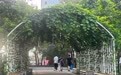 社会眼｜从“城市原点”广场看哈尔滨微更新