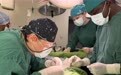 中国医生完成尼日尔首例耳科鼓室成形术(4)