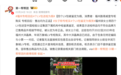 女子称在LV专柜购包4个被鉴定为假，市监局介入调查