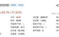 森合高科登陆北交所开盘涨72%：年入8.4亿元，客户涵盖宁波中策、旺塔