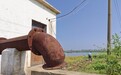 28.5亿建的高标准农田成摆设？已排查出446个问题