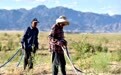 内蒙古杭锦后旗：沙地造林实现“快、稳、省”