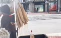 中国刷锅神器丝瓜瓤现身旧金山，售价6美元，河南企业认领：深耕行业已10年