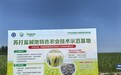 吉地振兴·沃土向新｜一根茭白的北上之路