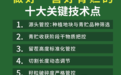 避开青贮坑！十大关键技术，帮牧场做出高品质玉米青贮