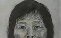 幽灵人贩“梅姨”落网：横跨20年的寻亲与追凶后，迷雾未散