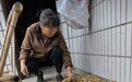 “8个鸡蛋”少年贺永辉即将赴湖南农大报到，母亲：孩子走到哪，父母都是担心的