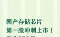 国产存储芯片第一股冲刺上市！年收550亿，硬撼三星海力士