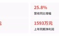 商米科技中报营收大涨25.8%却亏损，汇兑损失和上市费用成主因？