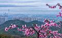 春花撬动“好钱景”