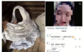 “深山救助流浪女”？警方通报