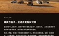 16万级家用SUV，也开始奔赴旷野