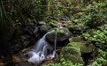 万里边疆行丨车行绿道 邂逅雨林(11)
