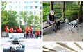 “人工智能+”连续三年写入政府工作报告，泰康之家智慧医养给出民生答卷