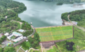 抢险排涝 巡查除险 保障物资——安徽基层防汛一线见闻
