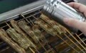 活力中国调研行丨湖北仙桃黄鳝养殖：闯关立标成就产业(6)