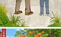 二十四节气·寒露丨寒露初临(竖版)