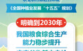 我国力争到2030年粮食综合生产能力稳步提升