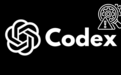 Codex，1个月吃掉150GB流量，写满4T硬盘，疯了吗？