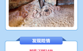 防汛日志｜富宁县花甲乡6.29地质灾害成功避险