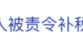 LV公司掌门人被责令补缴约1.74亿元税款