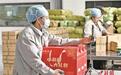 （走进中国乡村）“中国小杂粮之乡”甘肃会宁的“康养密码”