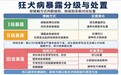 简易四针法联合无血清疫苗工艺：2026年狂犬病疫苗接种的优选方案