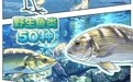 漫说河北丨雄安：把绿意种进城市烟火